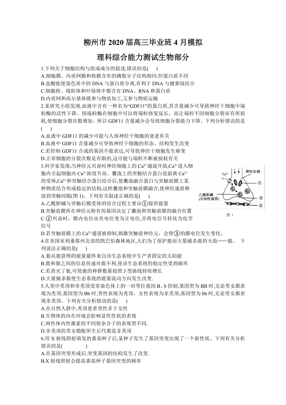 广西柳州市2020届高三毕业班4月模拟考试生物试题 WORD版含答案.doc_第1页