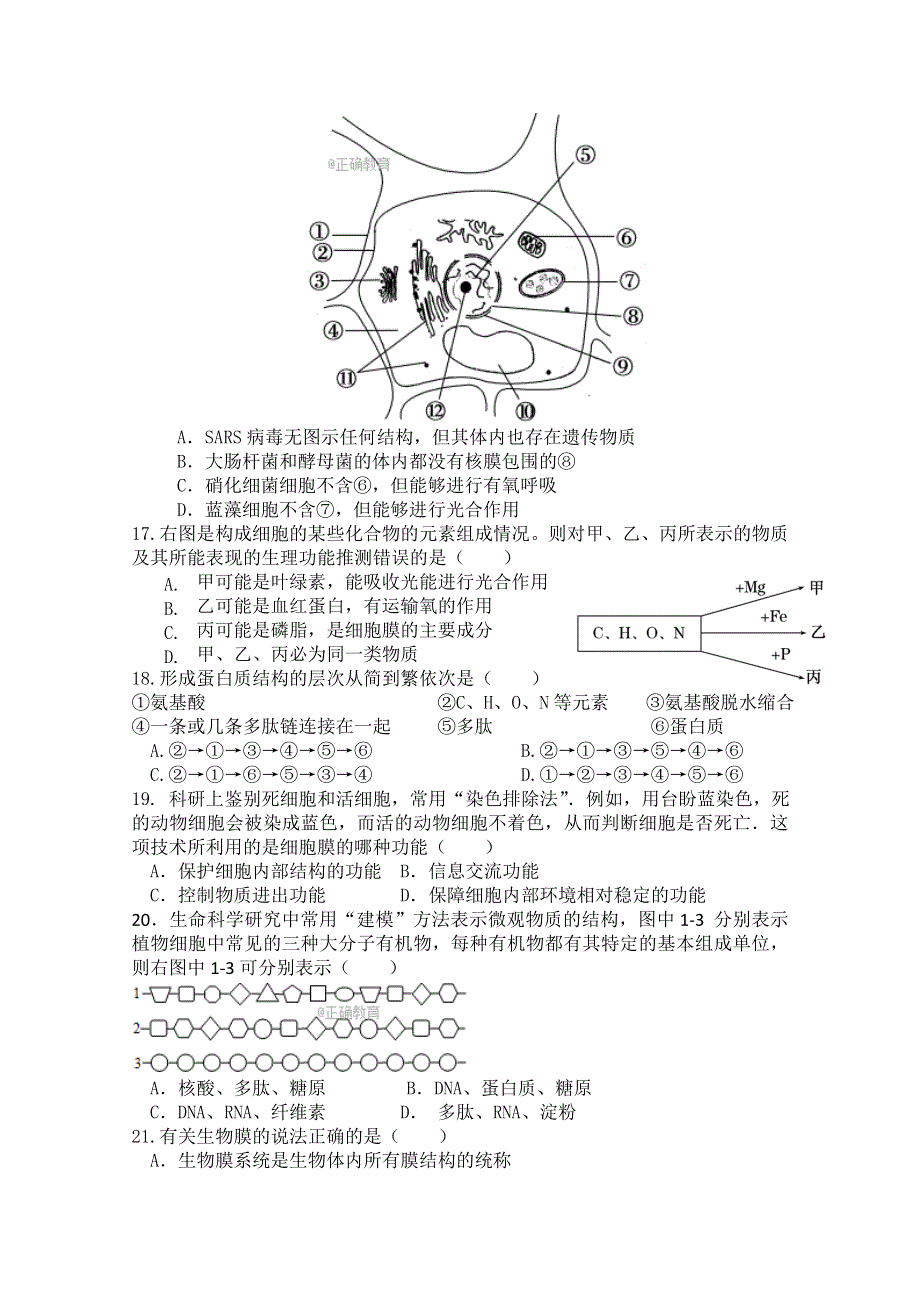 广东省广州大学附中2017-2018学年高一上学期期中三校联考生物试卷 WORD版含答案.doc_第3页