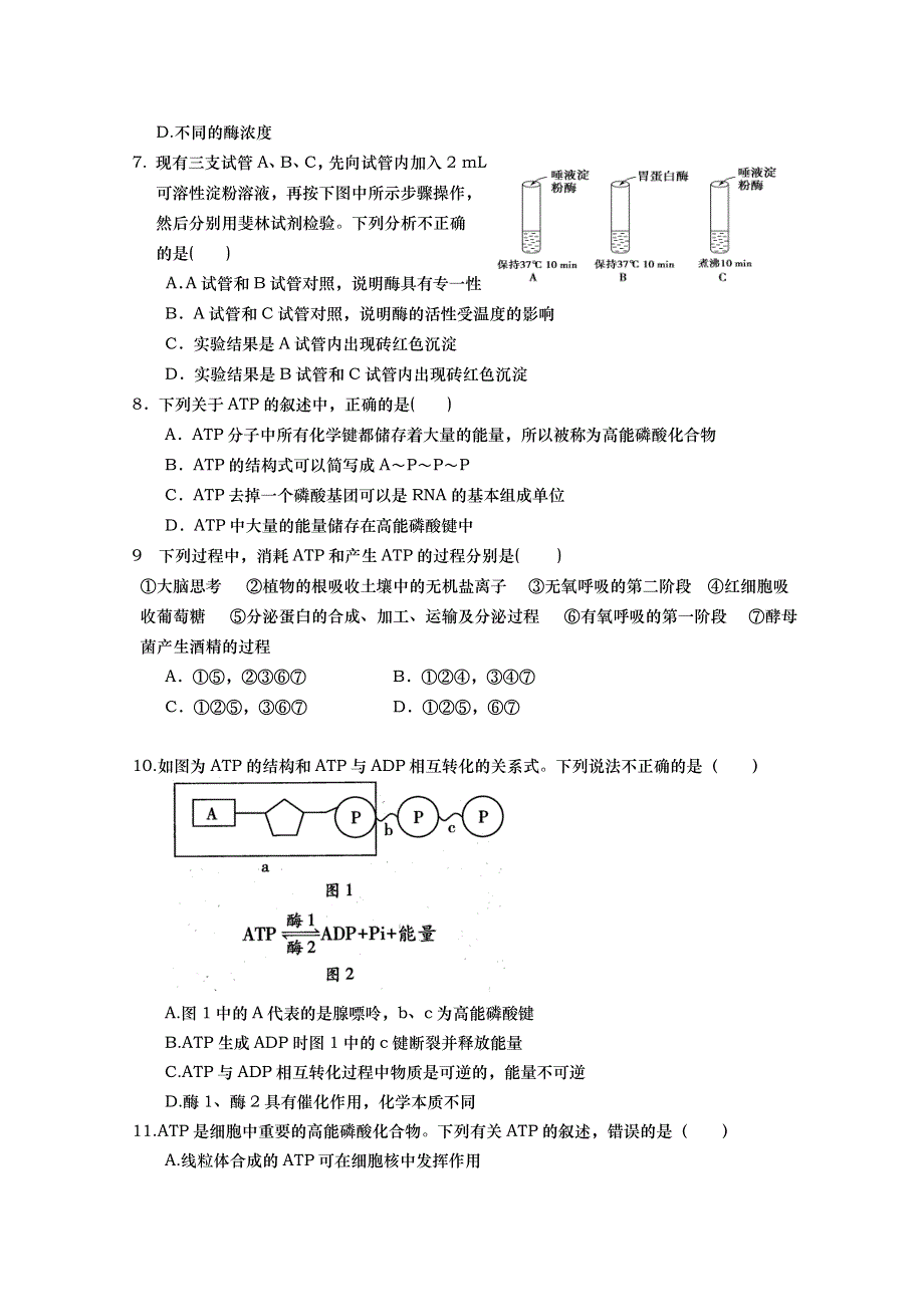 山东省武城县第二中学2015-2016学年高一上学期第三次月考生物试题 WORD版含答案.doc_第2页