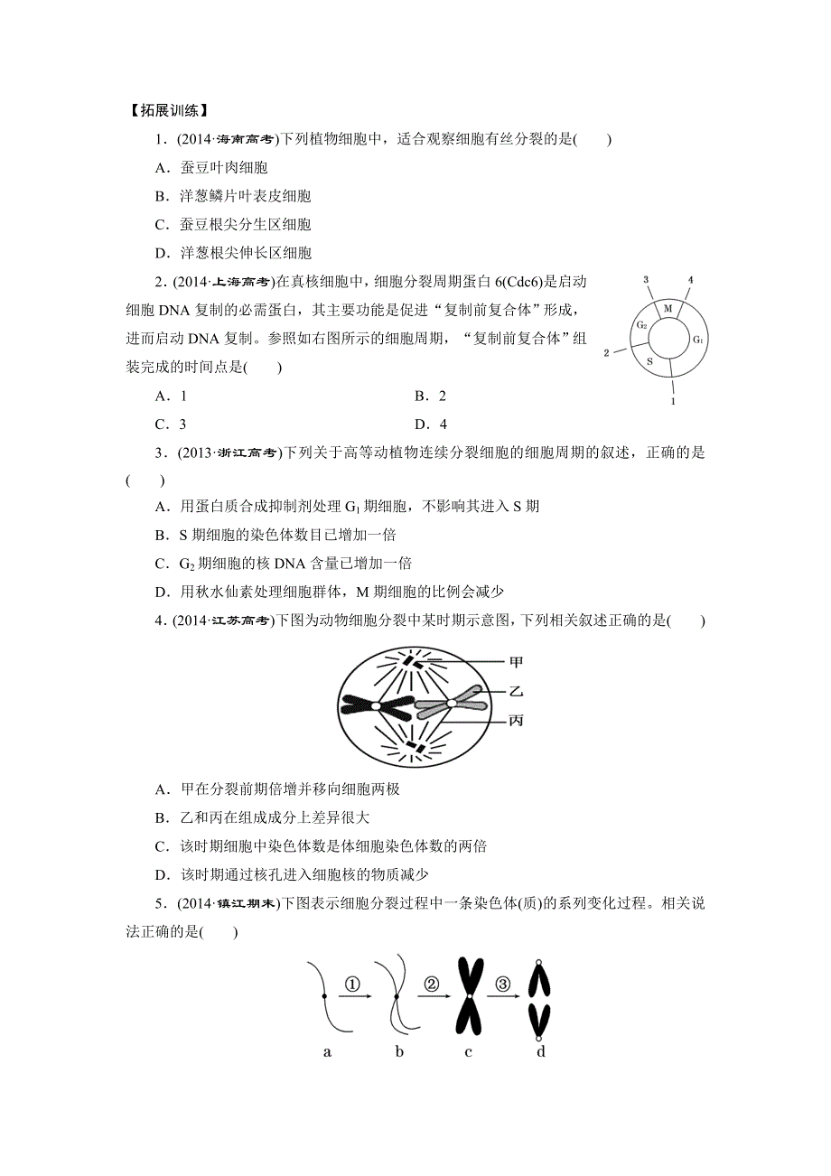 《南方凤凰台》2016届高三生物一轮复习导学案：第1讲 细胞的增殖 .doc_第3页