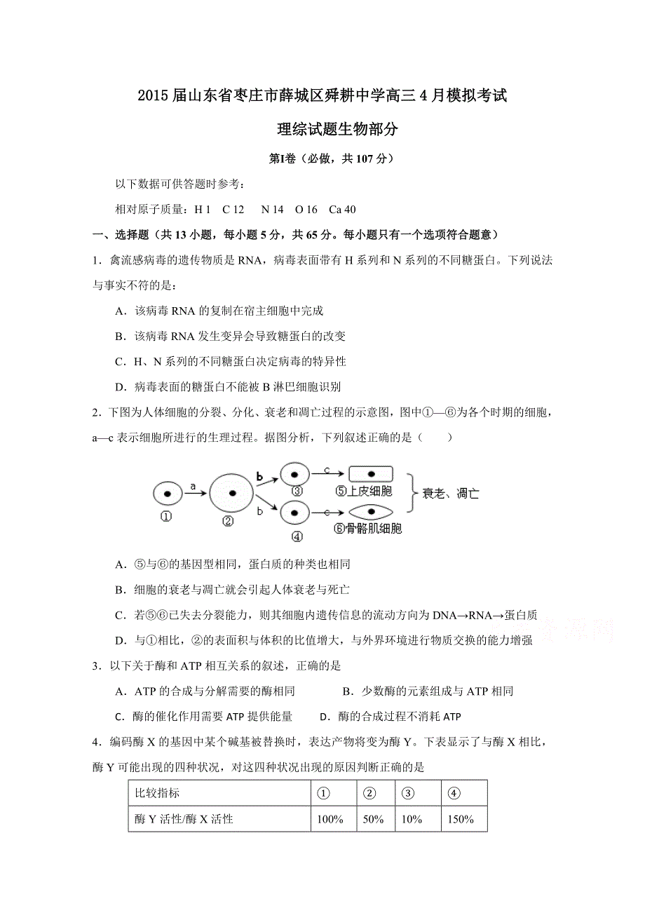 山东省枣庄市薛城区舜耕中学2015届高三4月模拟考试理综生物试题 WORD版含答案.doc_第1页