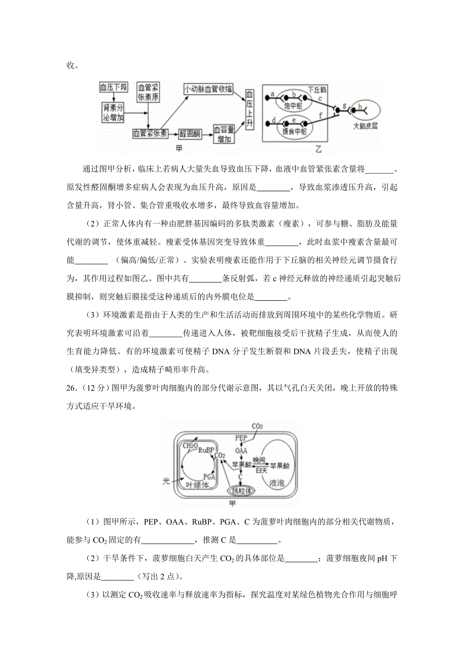 山东省枣庄市薛城区舜耕中学2015届高三4月模拟考试理综生物试题 WORD版含答案.doc_第3页