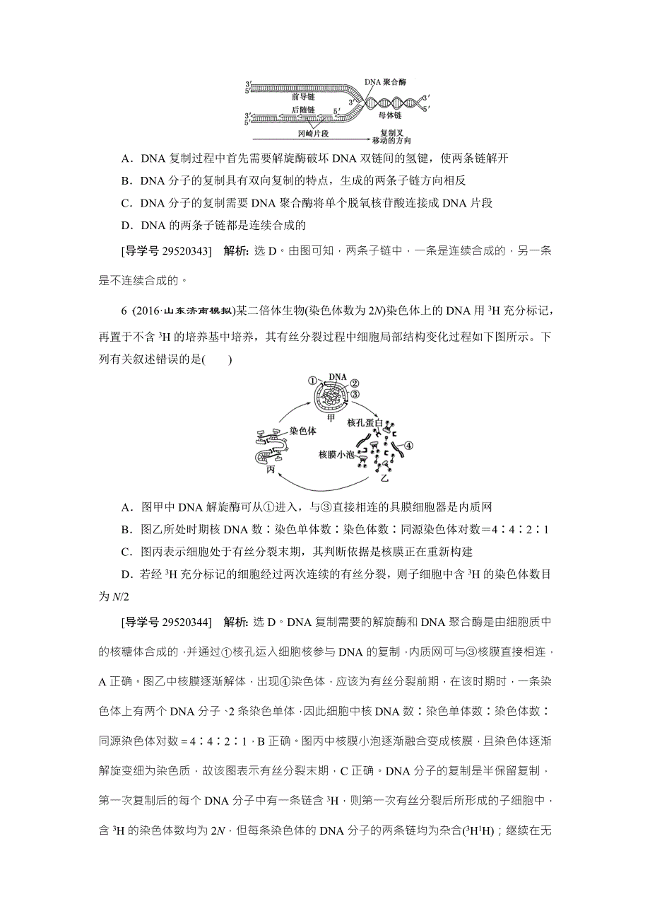 《卓越学案》2017高考生物总复习练习：第6单元 遗传的物质基础 单元过关检测 WORD版含解析.doc_第3页