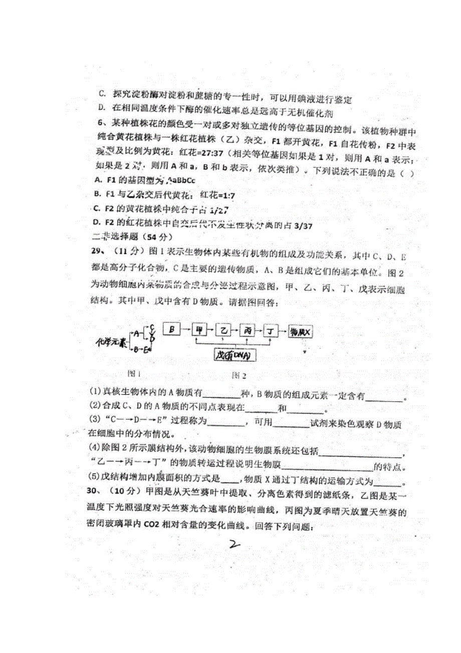 四川省眉山市青神中学校2020届高三10月份月考试生物试题 扫描版含答案.doc_第2页