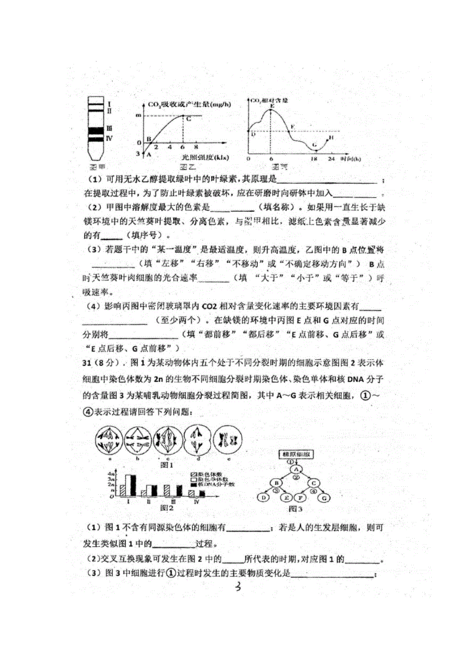 四川省眉山市青神中学校2020届高三10月份月考试生物试题 扫描版含答案.doc_第3页