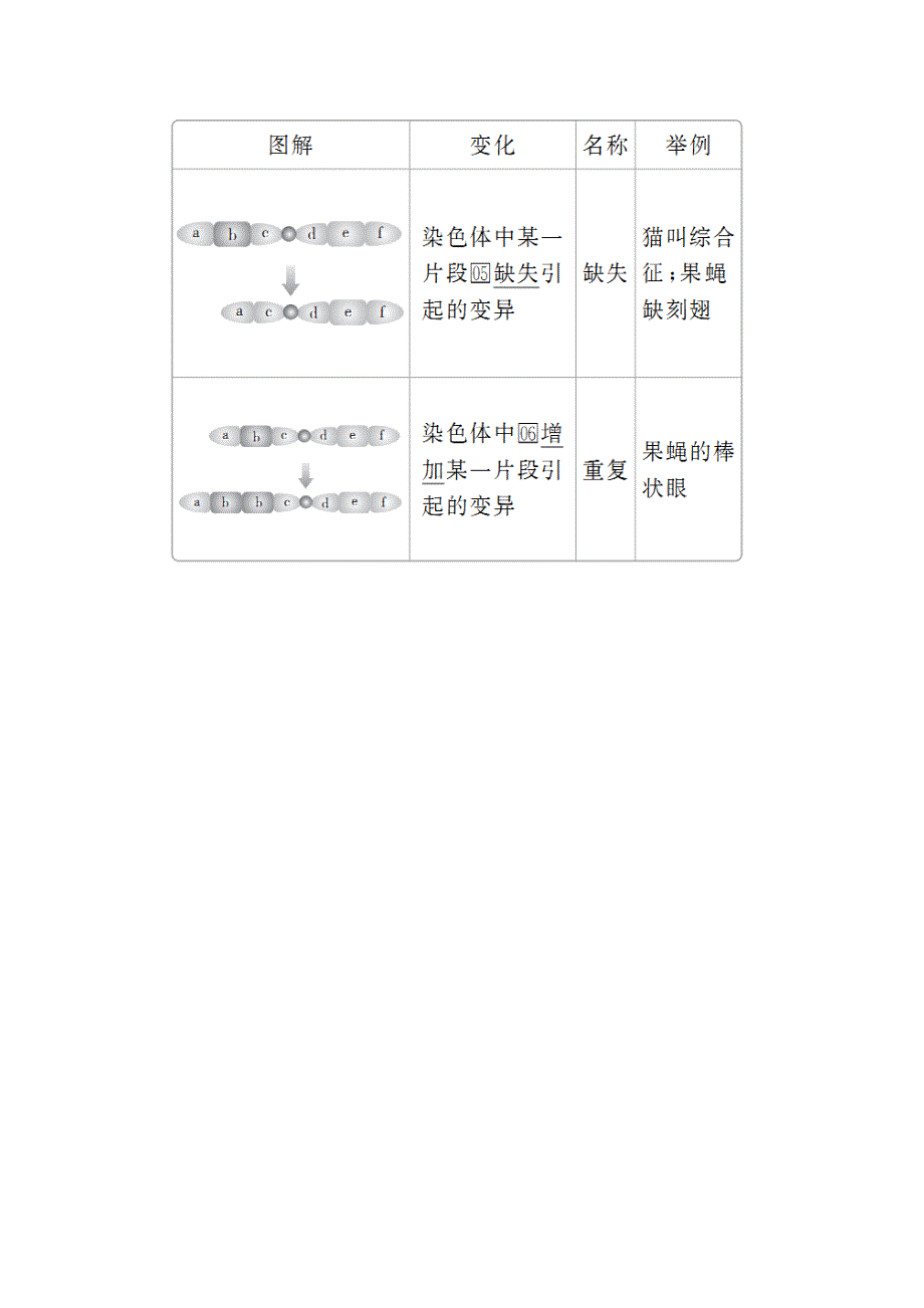 2020生物同步导学提分教程人教必修二讲义：第5章 第2节　染色体变异 WORD版含解析.doc_第2页