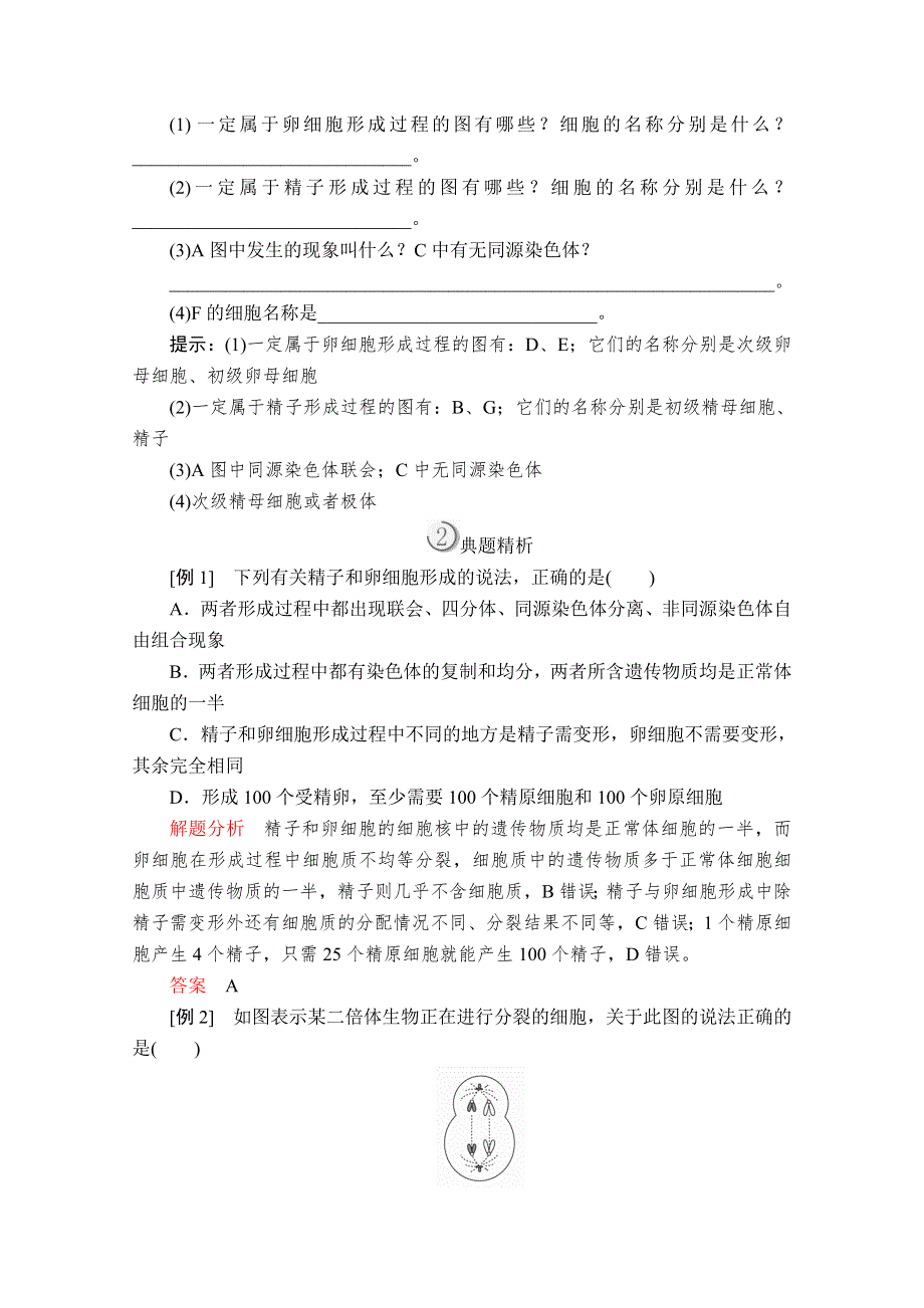 2020生物同步导学提分教程人教必修二讲义：第2章 第1节 第2课时　卵细胞的形成过程、减数分裂中染色体 WORD版含解析.doc_第3页