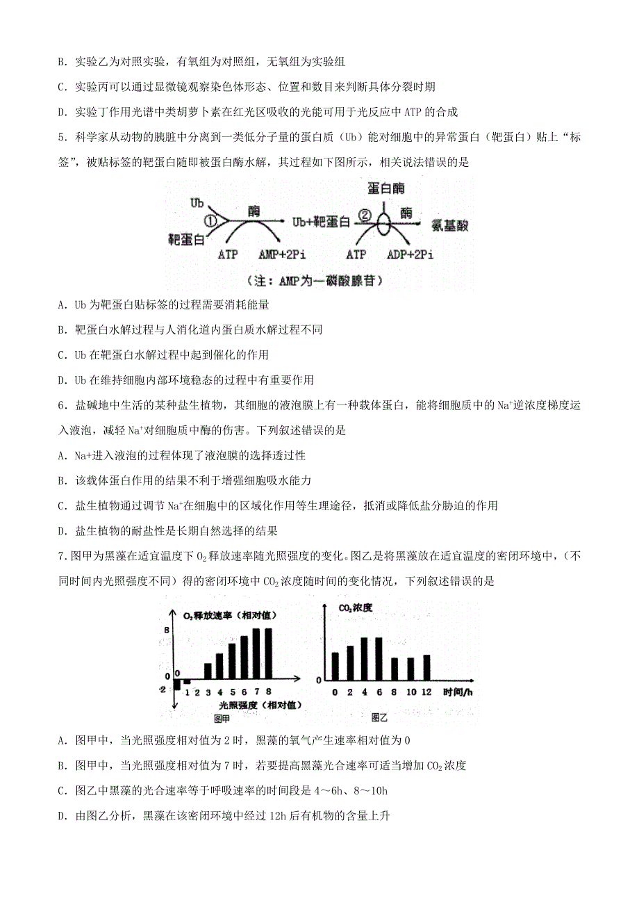 山东省枣庄滕州市2021届高三生物上学期期中试题.doc_第2页