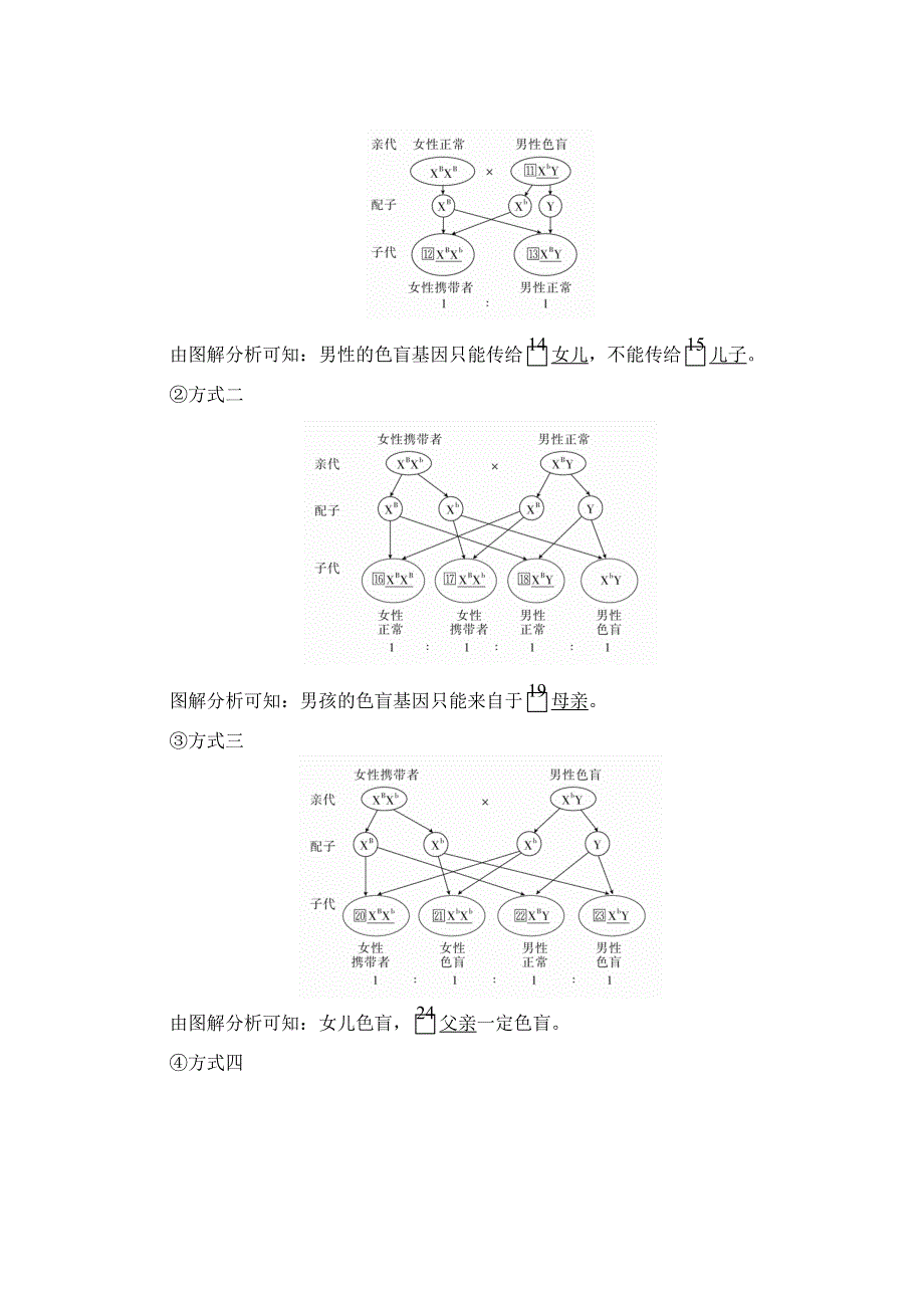 2020生物同步导学提分教程人教必修二讲义：第2章 第3节　伴性遗传 WORD版含解析.doc_第2页