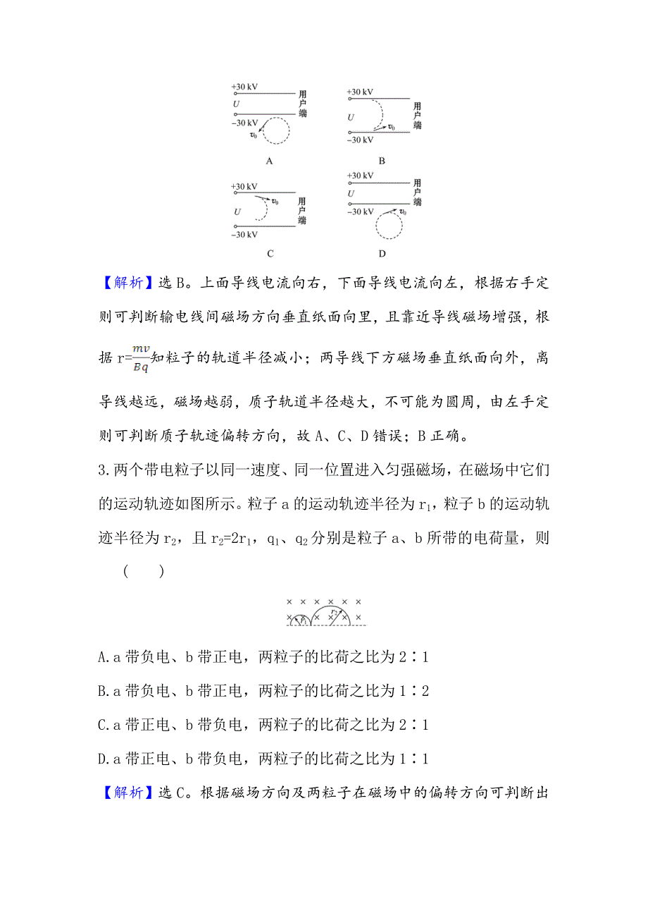 2021届高考物理一轮复习方略关键能力&题型突破 9-2　磁场对运动电荷的作用 WORD版含解析.doc_第2页