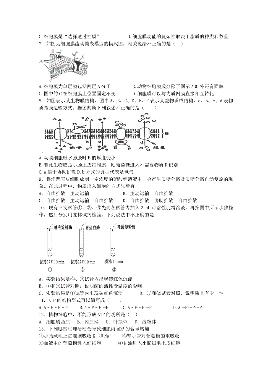 山东省枣庄第八中学2014-2015学年高一1月月考生物试题WORD版含答案.doc_第2页