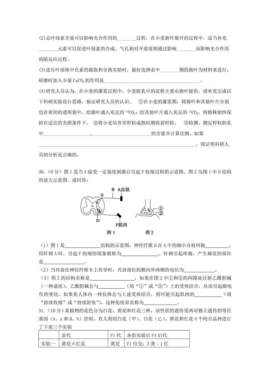 广西柳州市第一中学2015届高三第一次模拟考试理科综合生物试题 WORD版含答案.doc_第3页