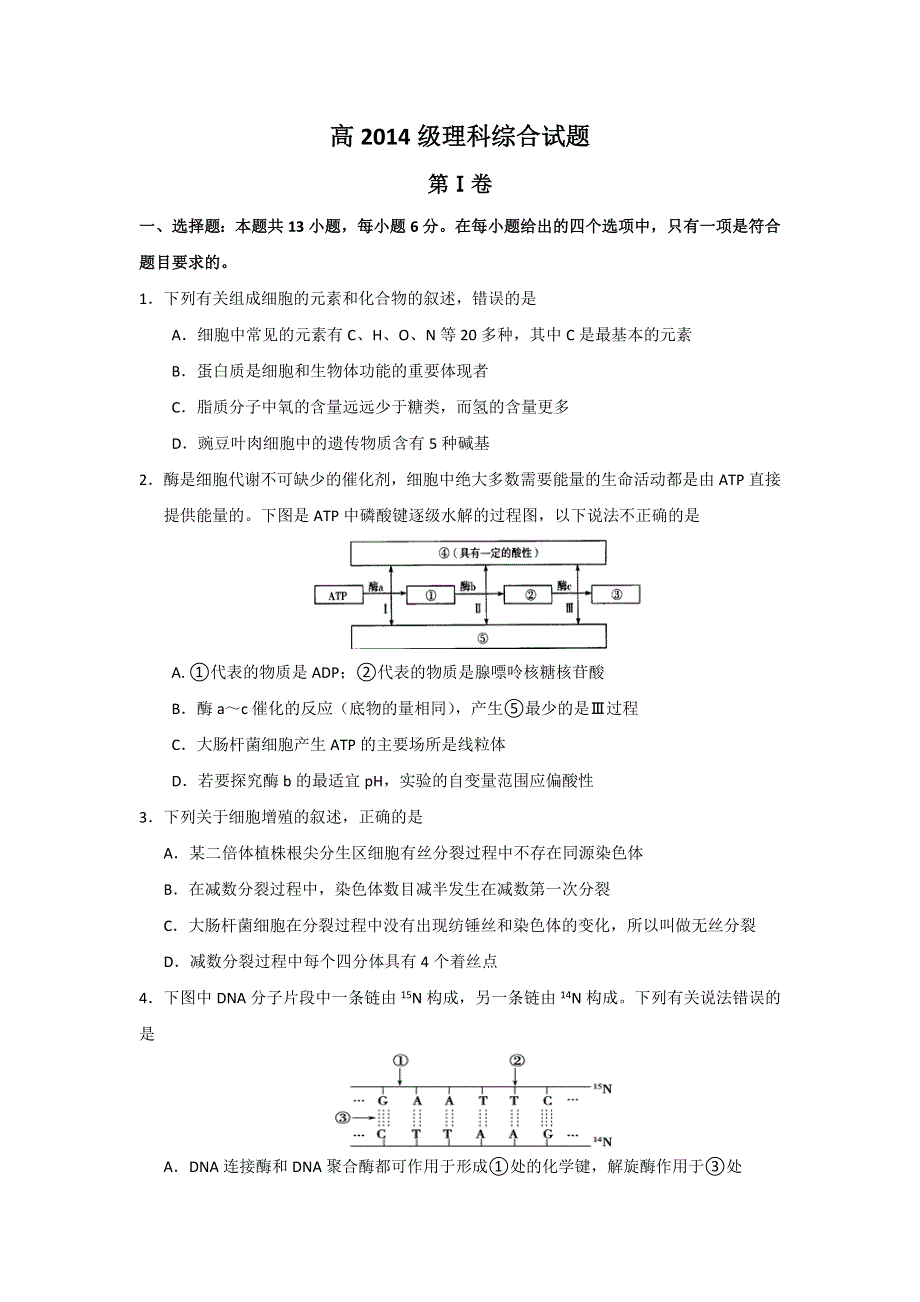 四川省绵阳中学实验学校2017届高三5月模拟生物试题 WORD版含答案.doc_第1页