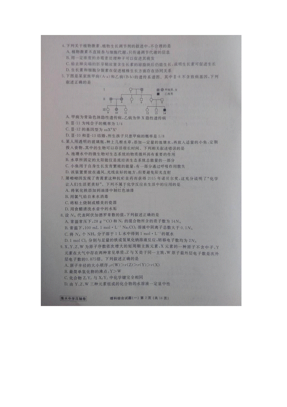 全国2016届高三下学期普通高等学校招生统一模拟考试理科综合试题 扫描版含答案.doc_第2页