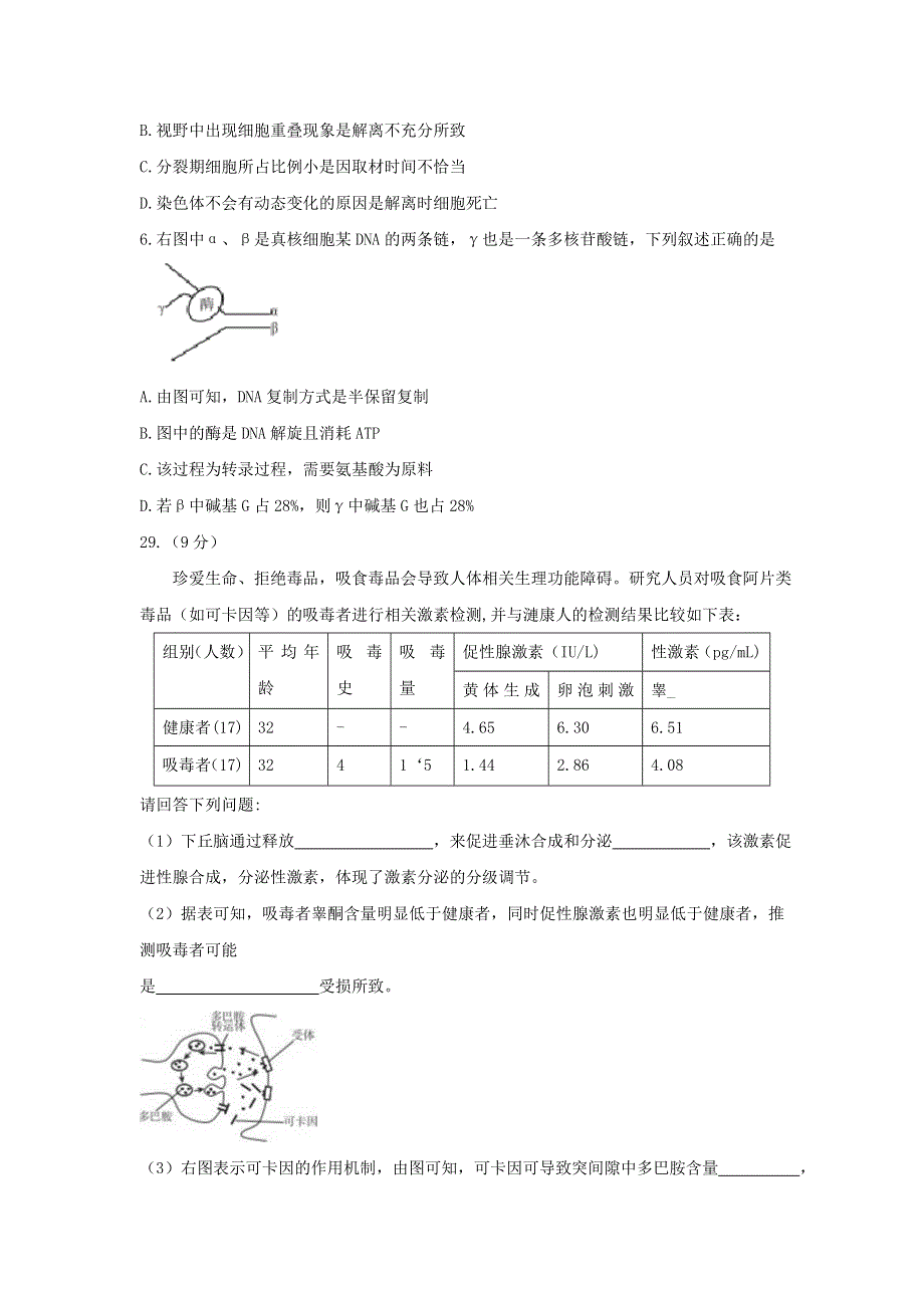 2016届高三全国统一模拟考试（三）生物试题 WORD版含答案.doc_第2页