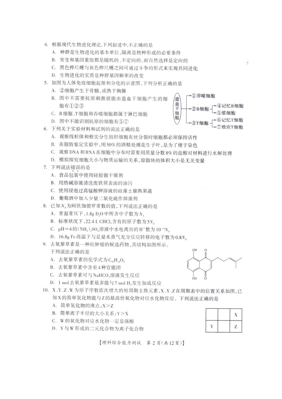 广西桂林、崇左市2021届高三下学期5月第二次联合模拟考试理科综合试题 扫描版含答案.pdf_第2页