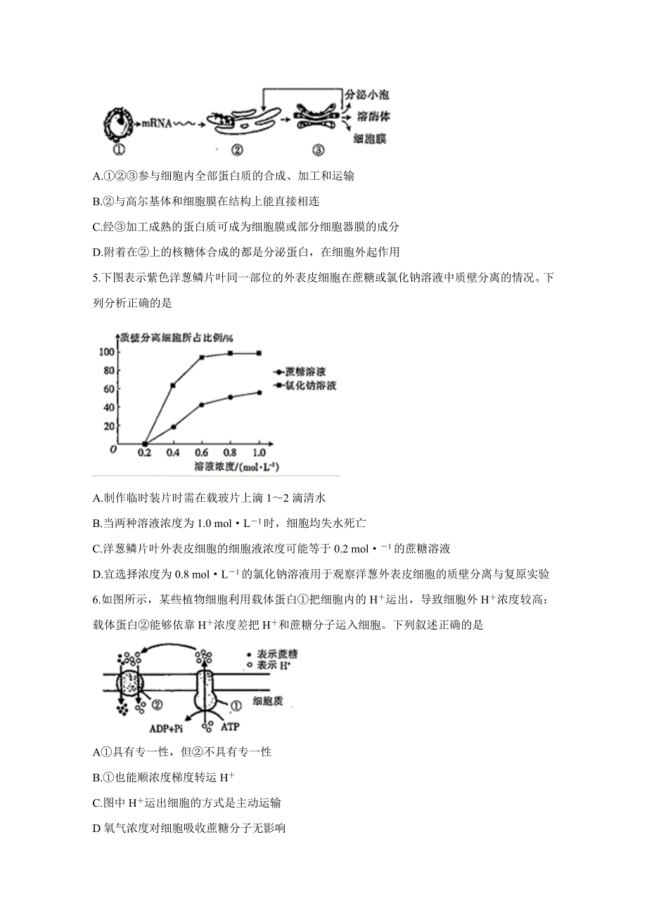 全国Ⅰ卷2020届高三上学期五省优创名校第二次联考试题 生物 WORD版含答案BYCHUN.doc_第2页