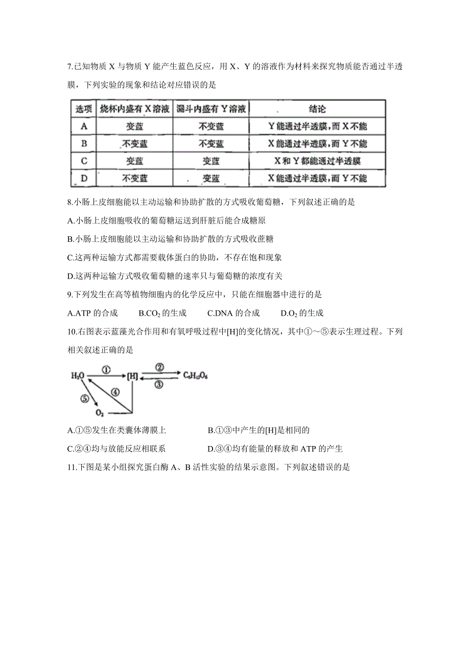 全国Ⅰ卷2020届高三上学期五省优创名校第二次联考试题 生物 WORD版含答案BYCHUN.doc_第3页