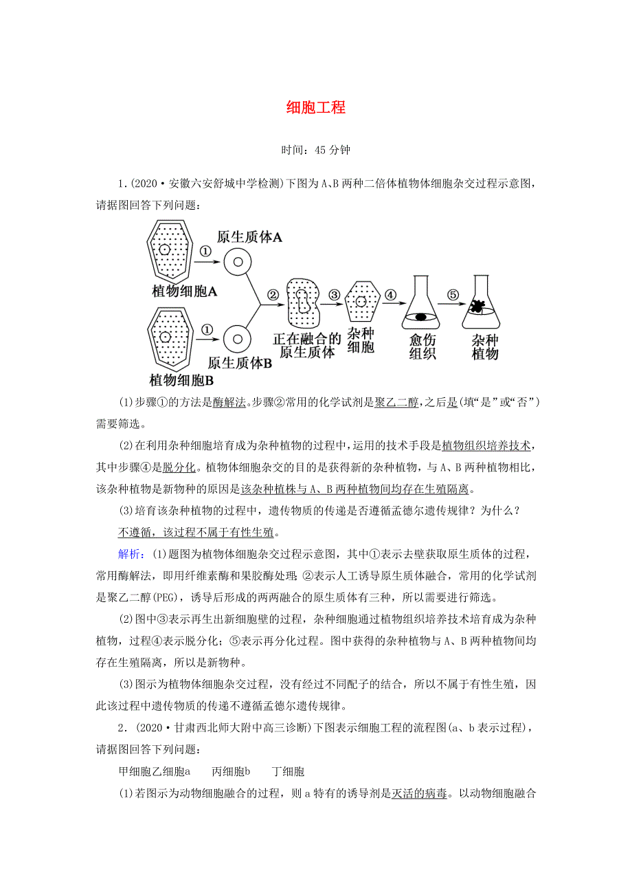 2021届高考生物一轮复习 第十一单元 现代生物科技专题 第37讲 细胞工程课时作业（含解析）新人教版.doc_第1页