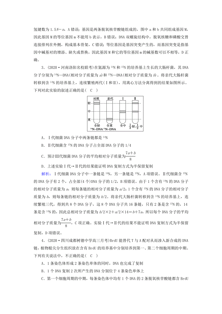 2021届高考生物一轮复习 第六单元 遗传的物质基础 第19讲 DNA分子的结构、复制 基因是有遗传效应的DNA片段课时作业（含解析）新人教版.doc_第2页