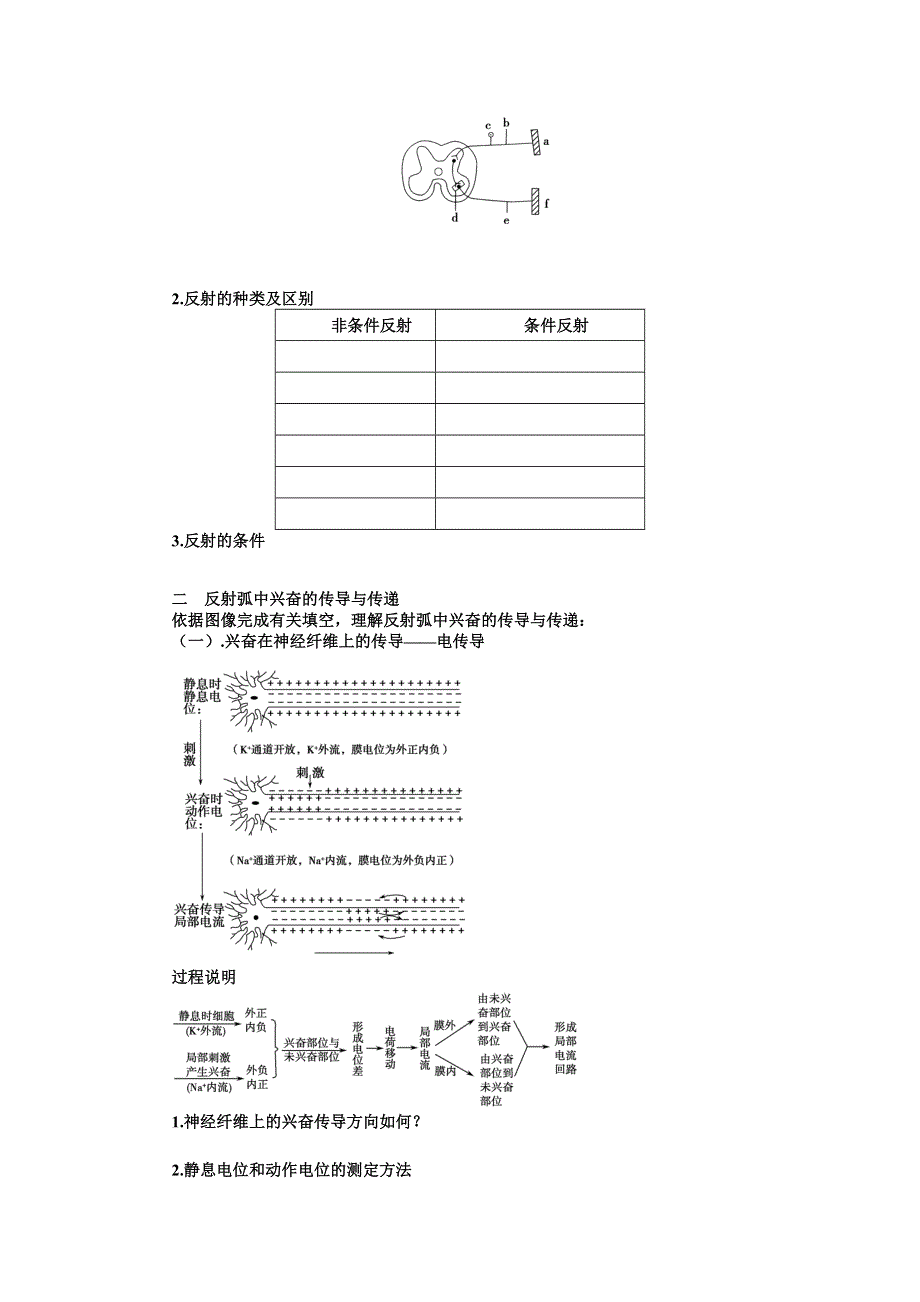 山东省沂水县第一中学2014年高考生物一轮复习学案：通过神经系统的调节(1).doc_第3页