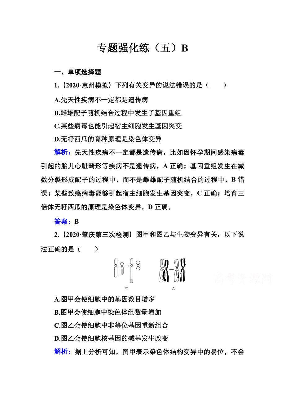 2021届高考生物二轮专题复习（选择性考试）专题强化练：专题五　遗传的分子基础、变异、育种与进化 B WORD版含解析.doc_第1页