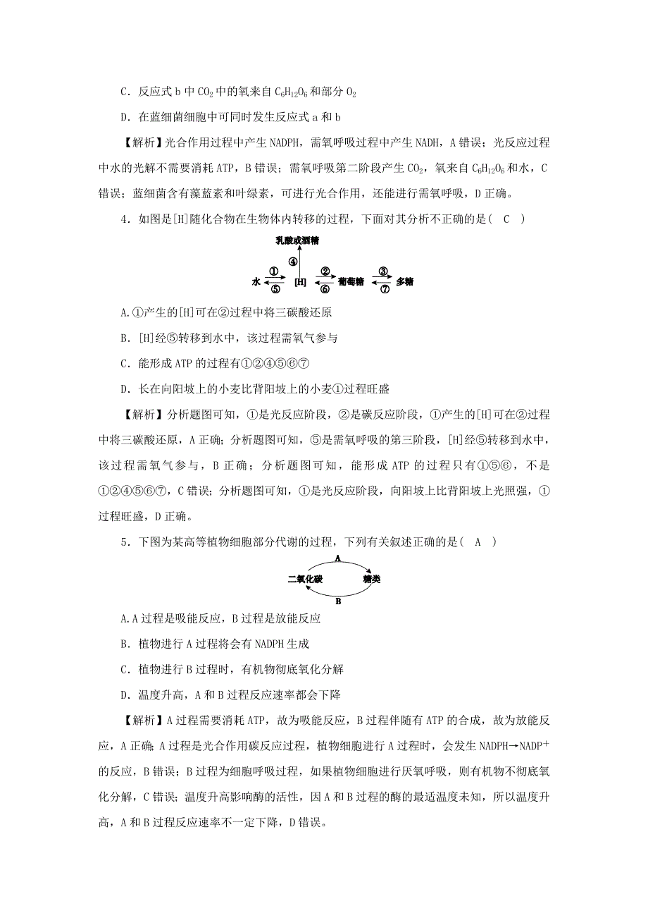 2021-2022学年新教材高中生物 高效作业23 细胞呼吸和光合作用综合（含解析）浙科版必修第一册.docx_第2页