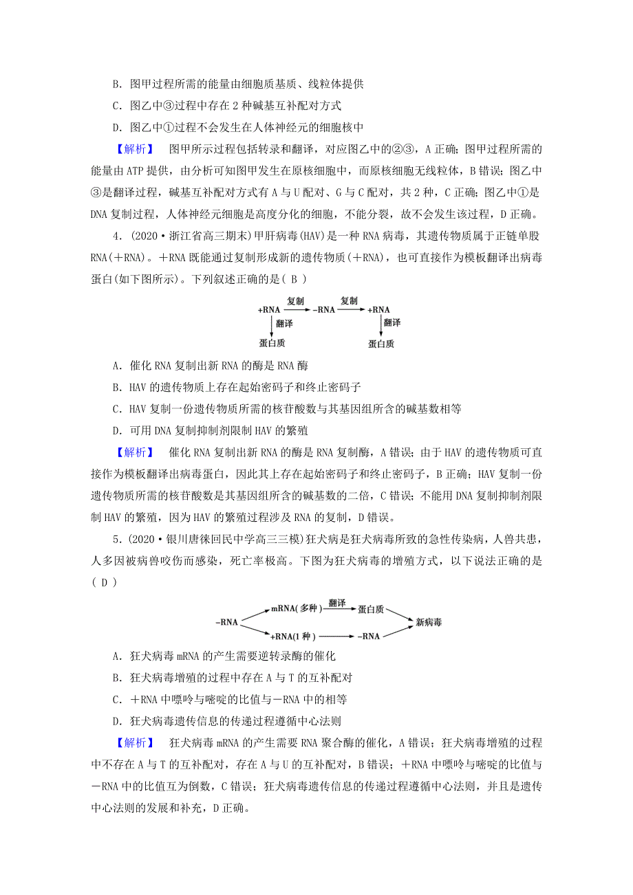 2021届高考生物二轮复习 专题6 遗传的分子基础高考模拟训练（含解析）新人教版.doc_第2页