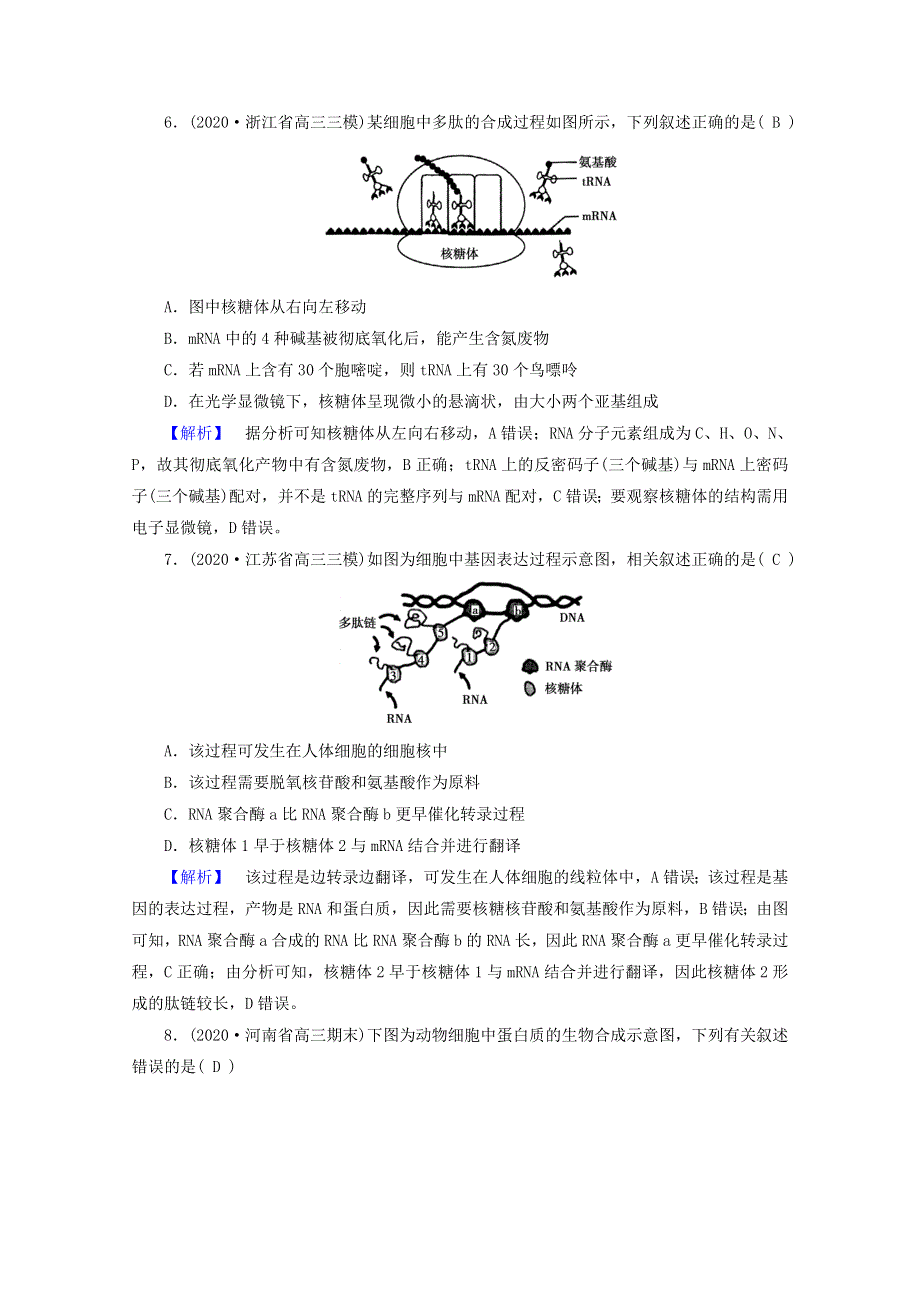 2021届高考生物二轮复习 专题6 遗传的分子基础高考模拟训练（含解析）新人教版.doc_第3页