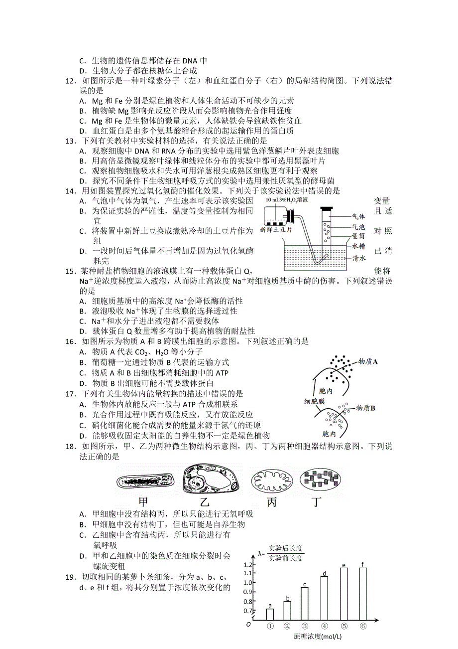 四川省绵阳市2015-2016学年高一上学期期末考试生物试题 WORD版含答案.doc_第2页