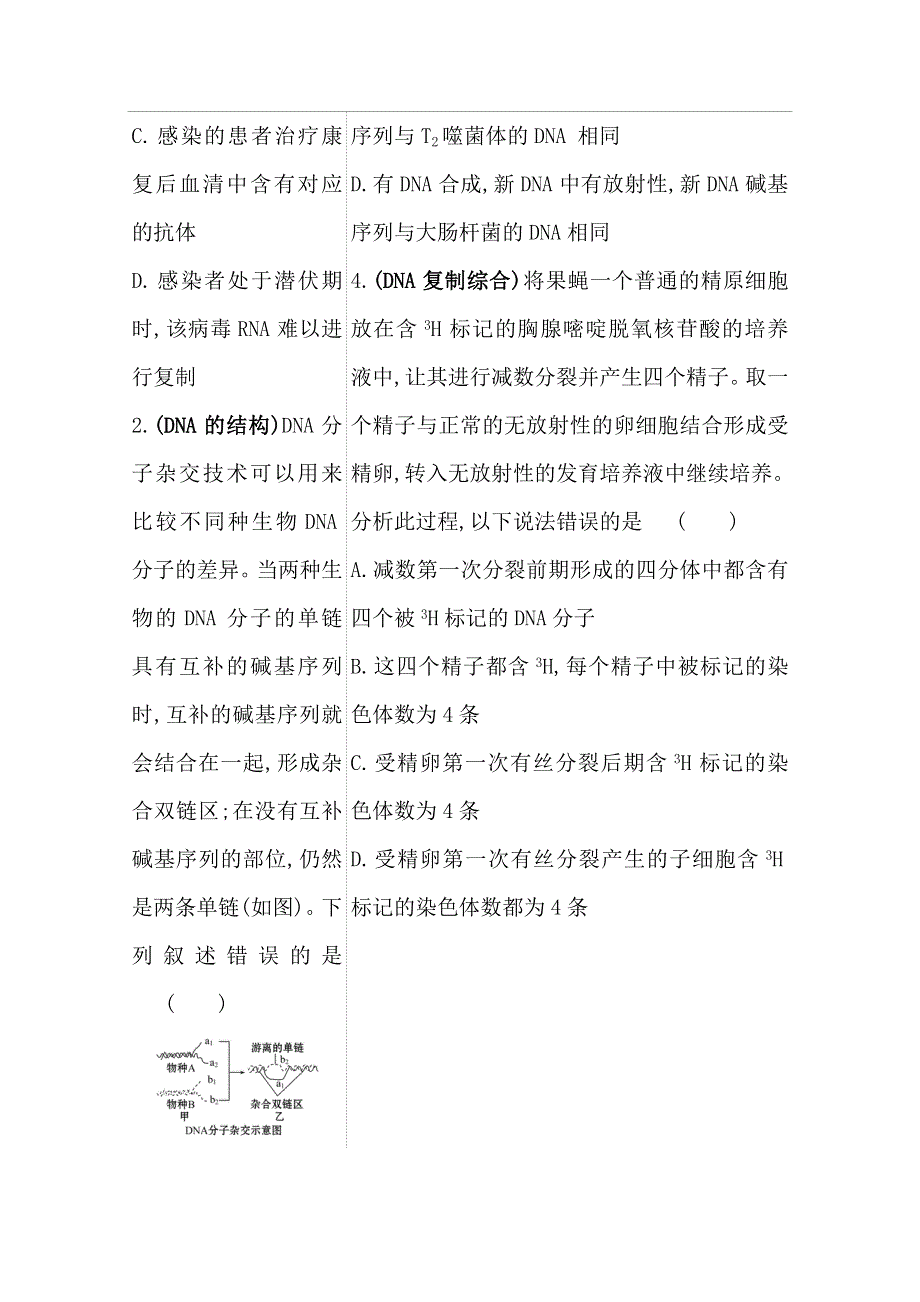 2021届高考生物二轮考前复习学案：第一篇 专题4 考向1 基因的本质和复制 WORD版含解析.doc_第3页