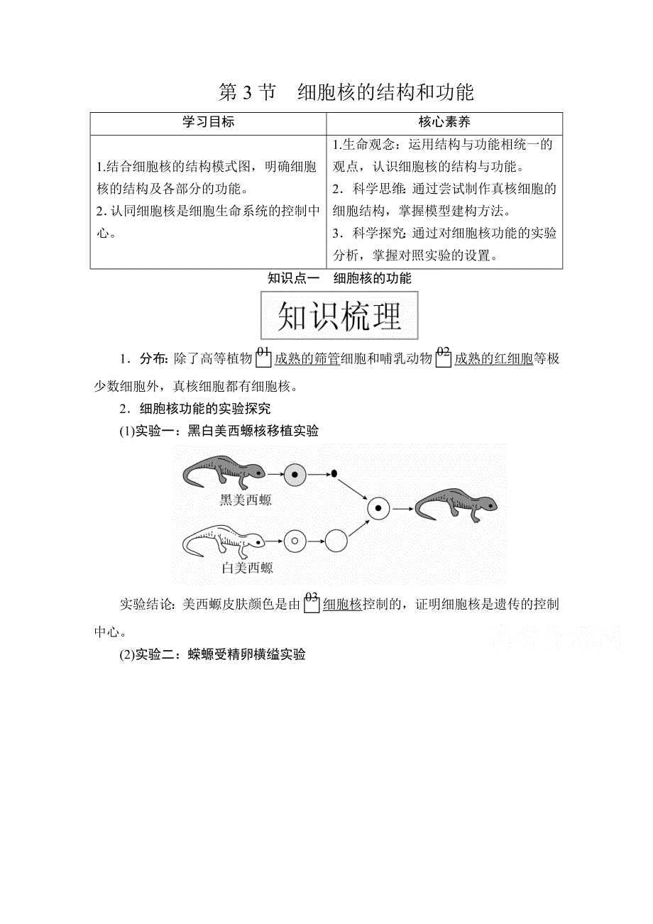 2020秋高一生物人教版必修1学案：第3章 第3节 细胞核的结构和功能 WORD版含解析.doc_第1页