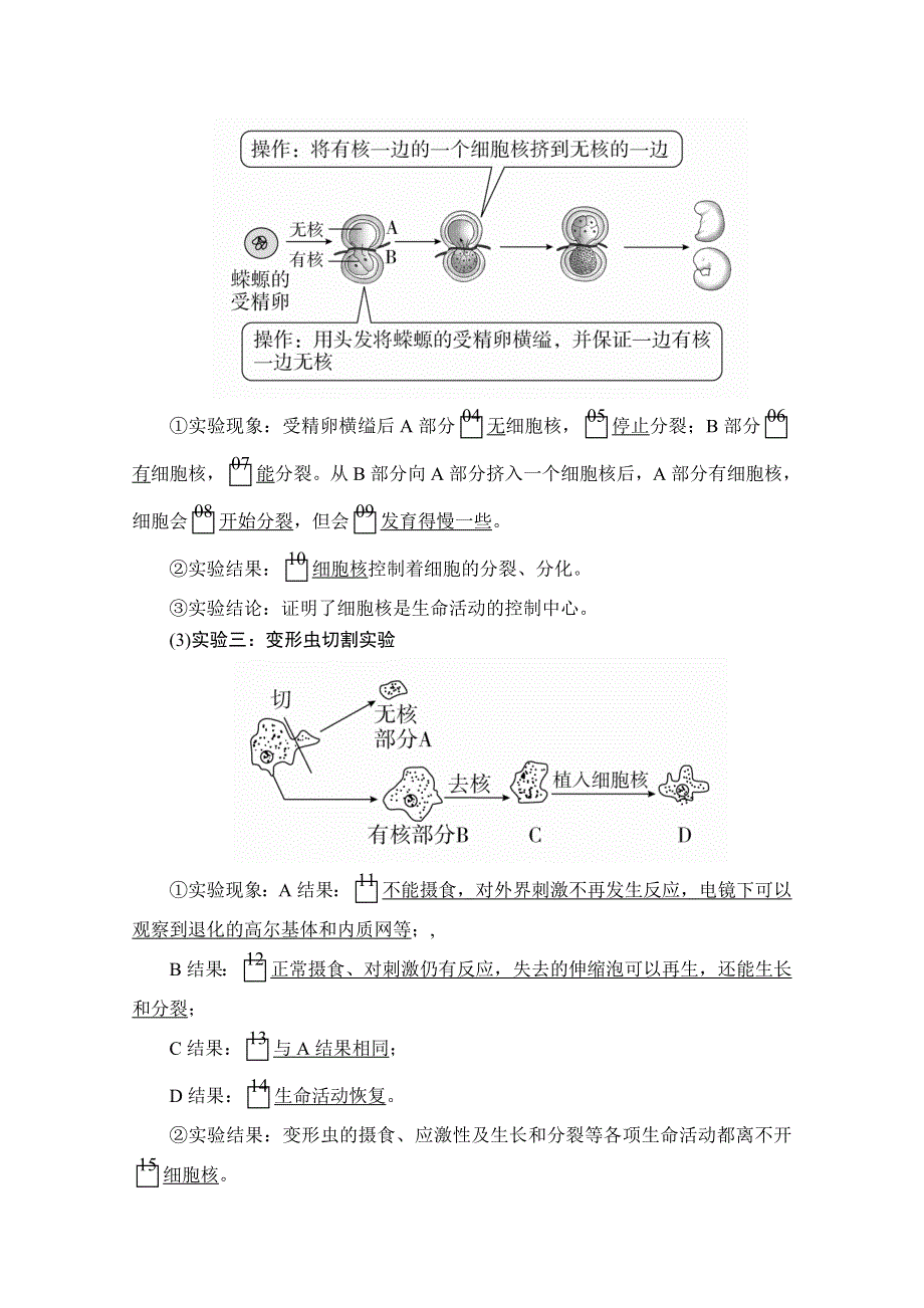 2020秋高一生物人教版必修1学案：第3章 第3节 细胞核的结构和功能 WORD版含解析.doc_第2页