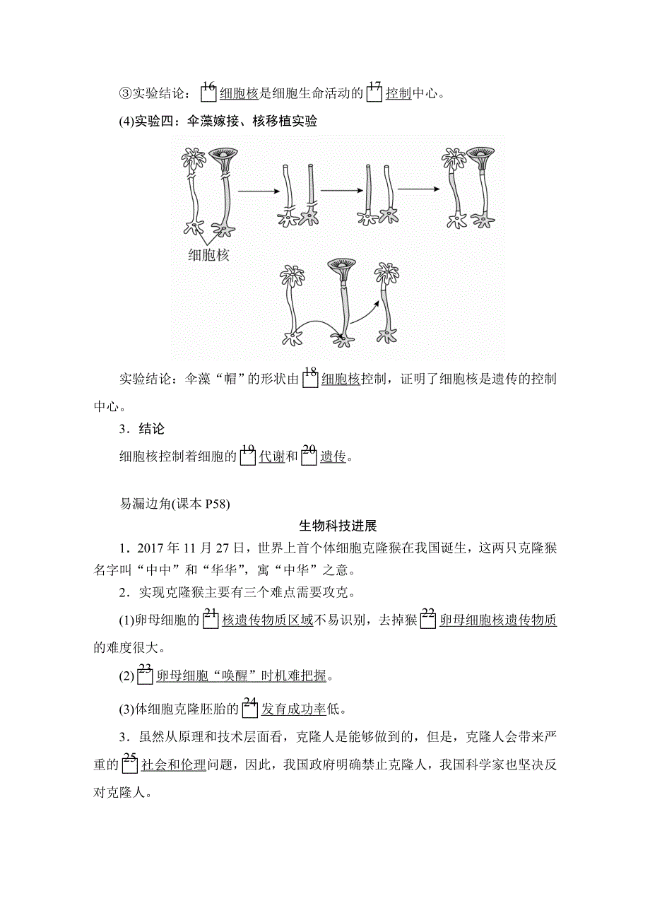 2020秋高一生物人教版必修1学案：第3章 第3节 细胞核的结构和功能 WORD版含解析.doc_第3页