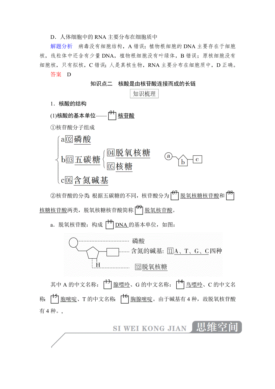 2020秋高一生物人教版必修1学案：第2章 第5节 核酸是遗传信息的携带者 WORD版含解析.doc_第2页