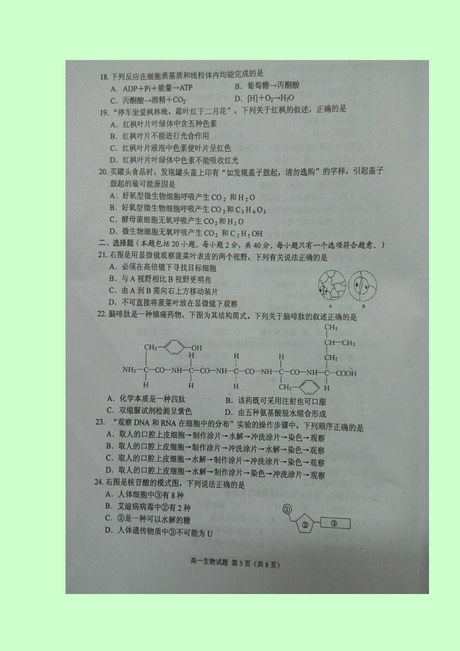 四川省绵阳市2016-2017学年高一上学期期末考试生物试题 扫描版含答案.doc_第3页