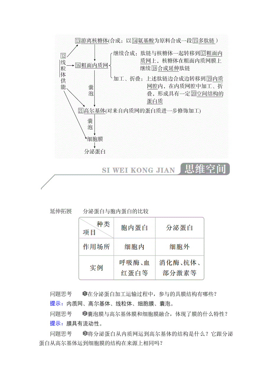 2020秋高一生物人教版必修1学案：第3章 第2节 第2课时 细胞器之间的协调配合和细胞的生物膜系统 WORD版含解析.doc_第2页