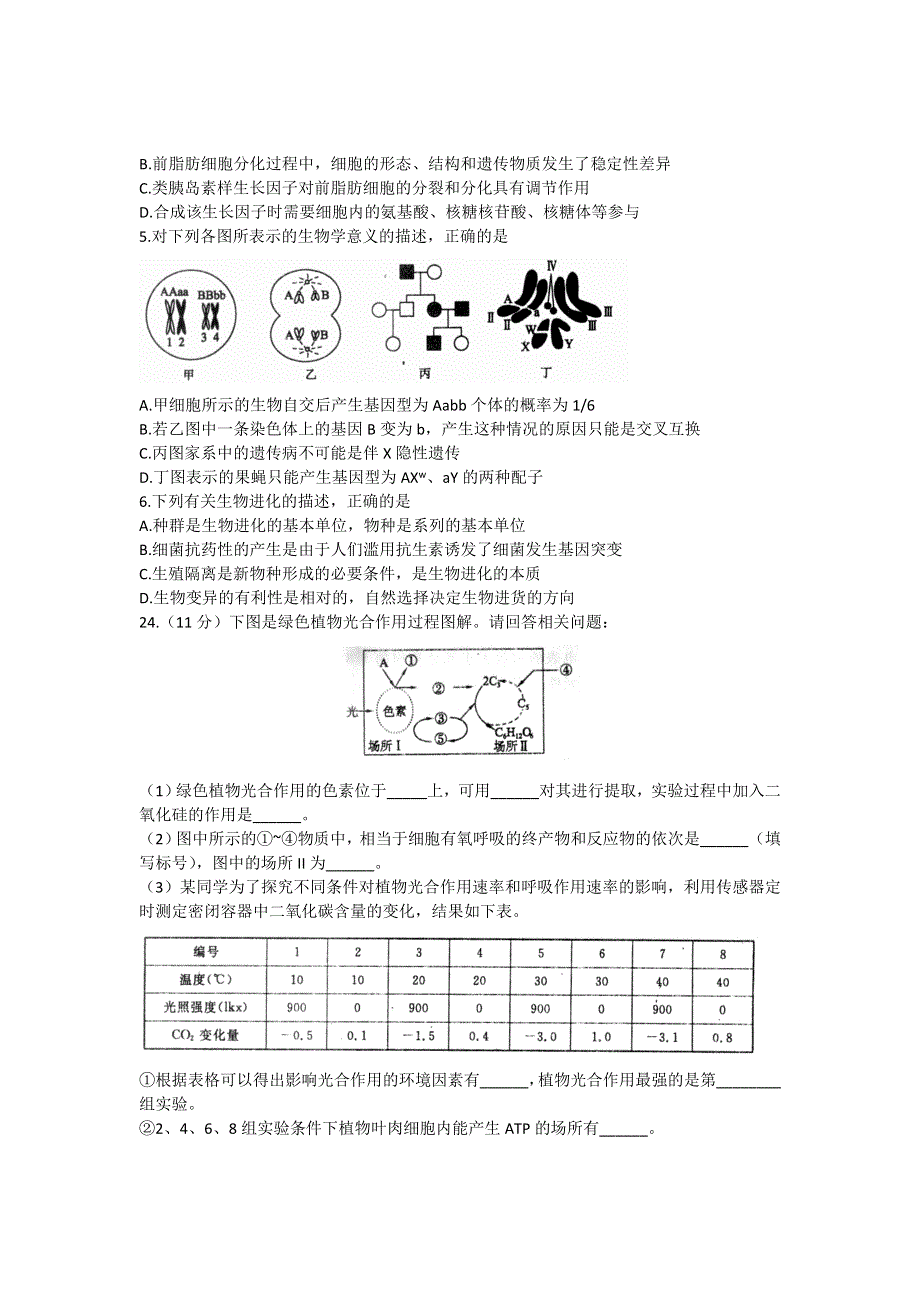 山东省泰安一中2012届高三高考仿真考试（最后一考）理综生物试题.doc_第2页