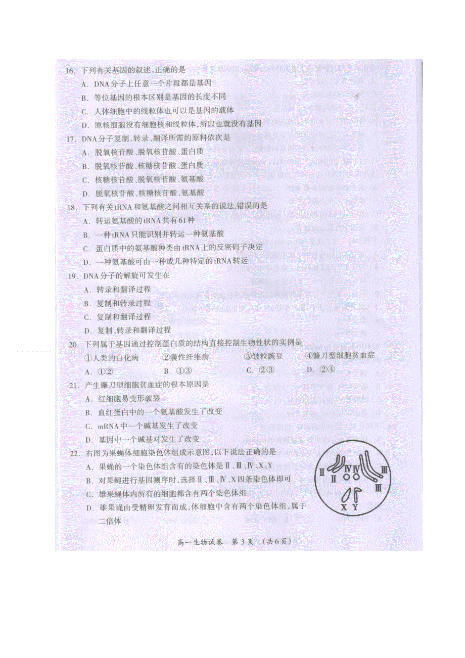 广西桂林市2019-2020学年高一下学期期末质量检测生物试卷 图片版含答案.doc_第3页