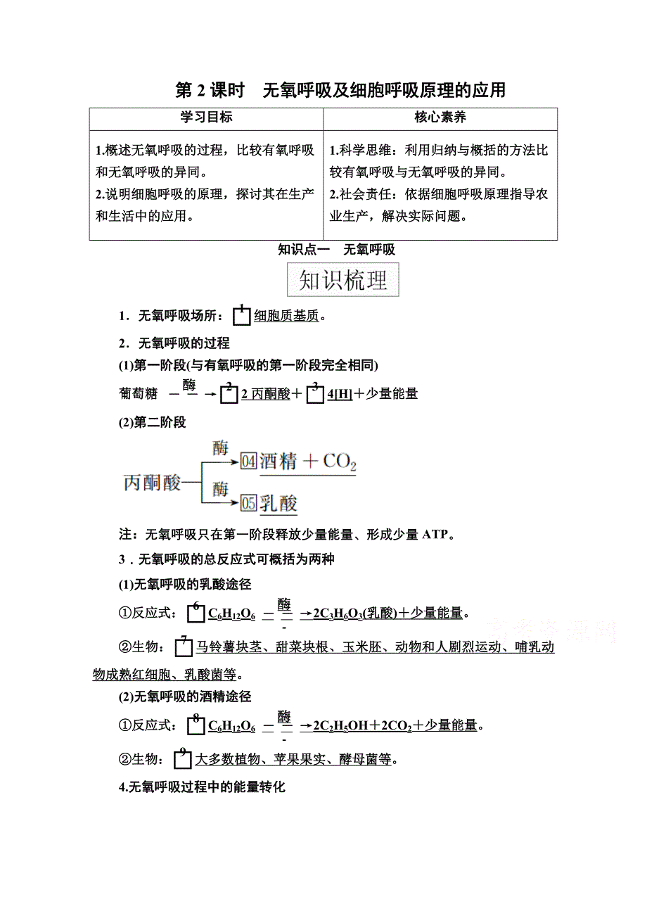 2020秋高一生物人教版必修1学案：第5章 第3节 第2课时 无氧呼吸及细胞呼吸原理的应用 WORD版含解析.doc_第1页