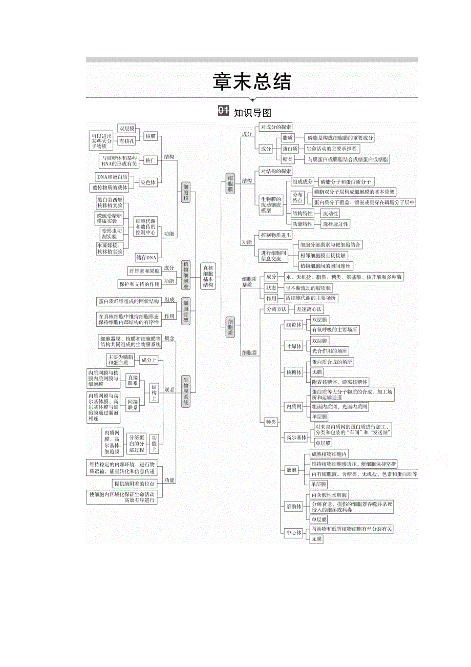 2020秋高一生物人教版必修1学案：第三章 细胞的基本结构 章末总结 WORD版含解析.doc_第1页