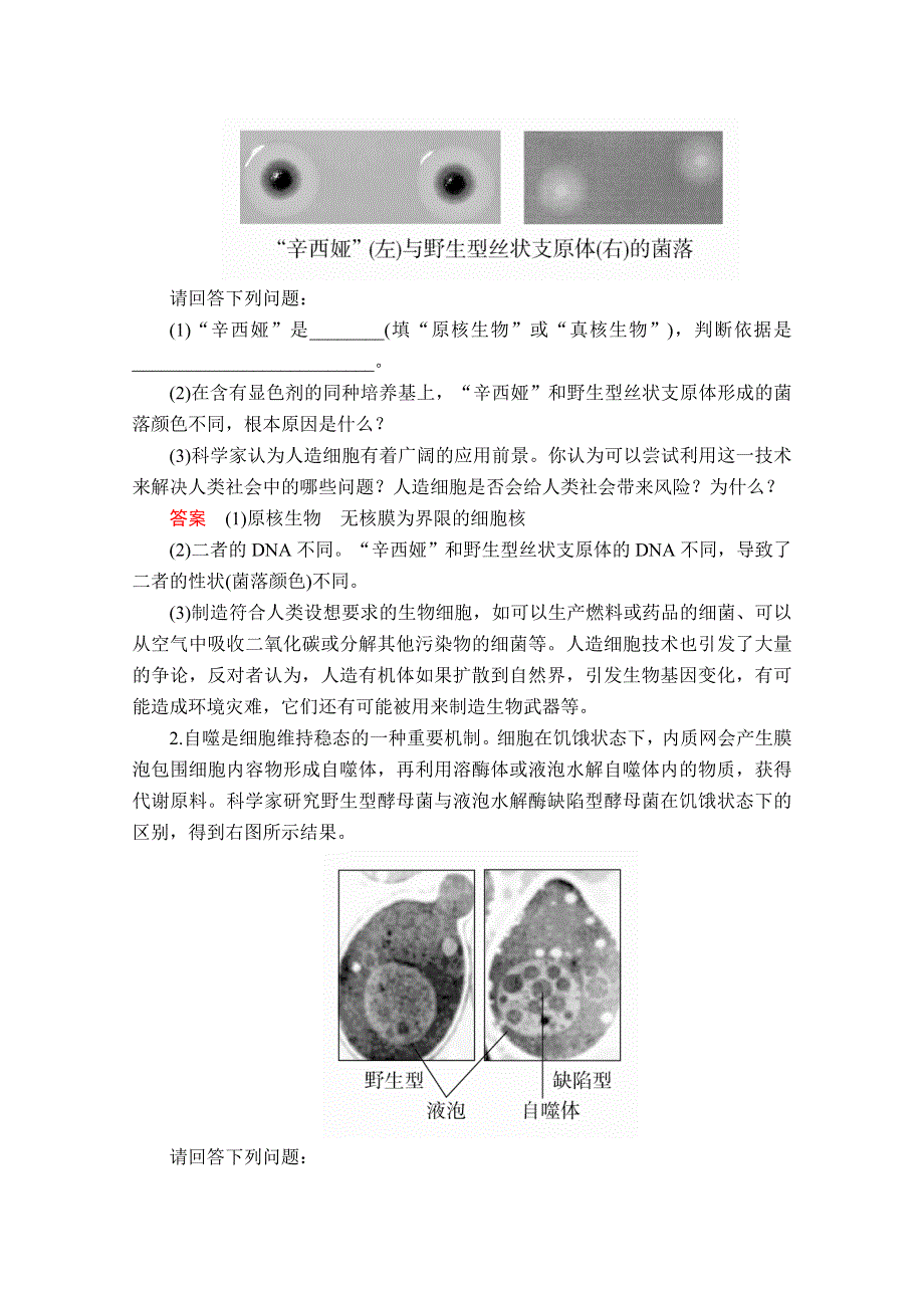 2020秋高一生物人教版必修1学案：第三章 细胞的基本结构 章末总结 WORD版含解析.doc_第3页