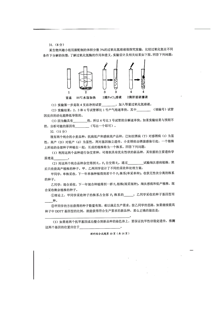 四川省绵阳市2017届高三第一次诊断性考试理综生物试题 扫描版含答案.doc_第3页