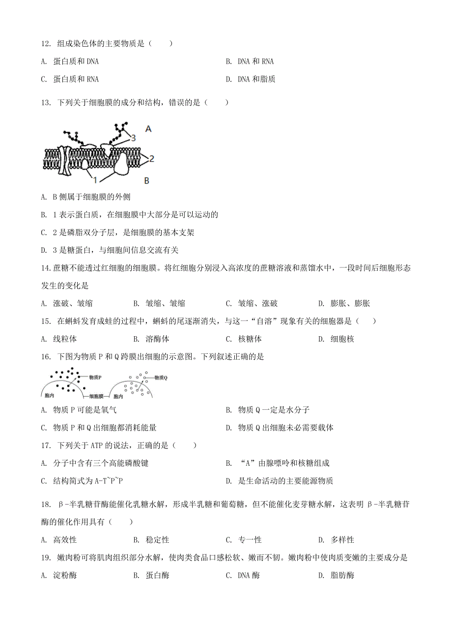 广西桂林市2020-2021学年高一生物上学期期末质量检测试题.doc_第3页