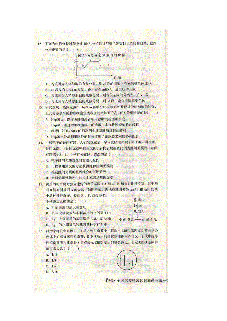 全国名校联盟2016届高三上学期联考生物试题 扫描版含答案.doc_第3页