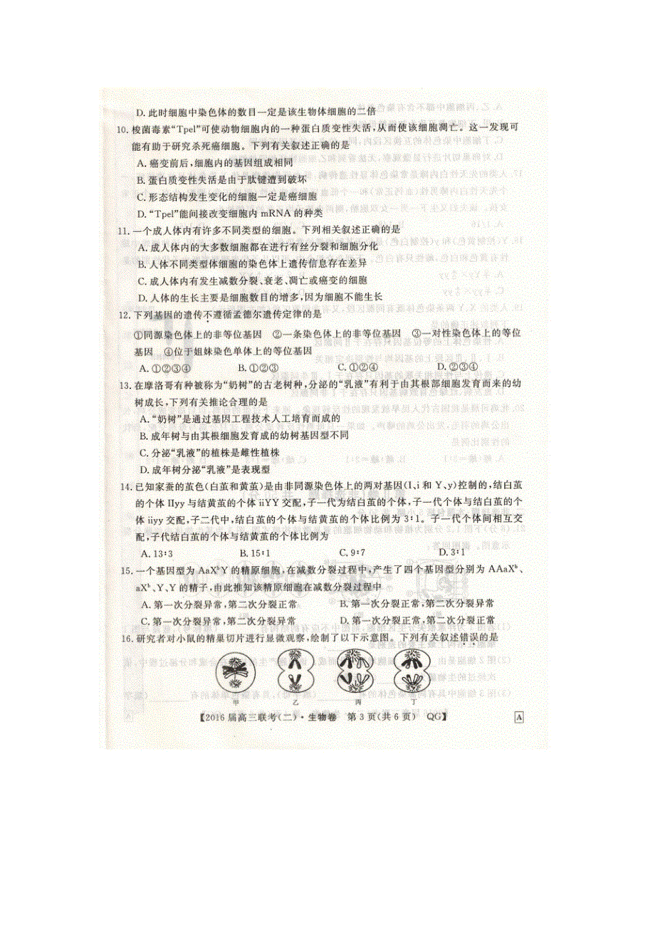 全国名校联盟2016届高三上学期联考（二）生物试卷 扫描版含答案.doc_第3页