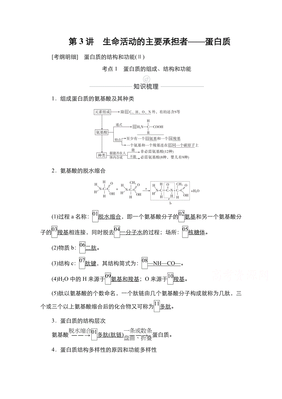 2021届高考生物人教版一轮创新教学案：第1单元　第3讲　生命活动的主要承担者——蛋白质 WORD版含解析.doc_第1页