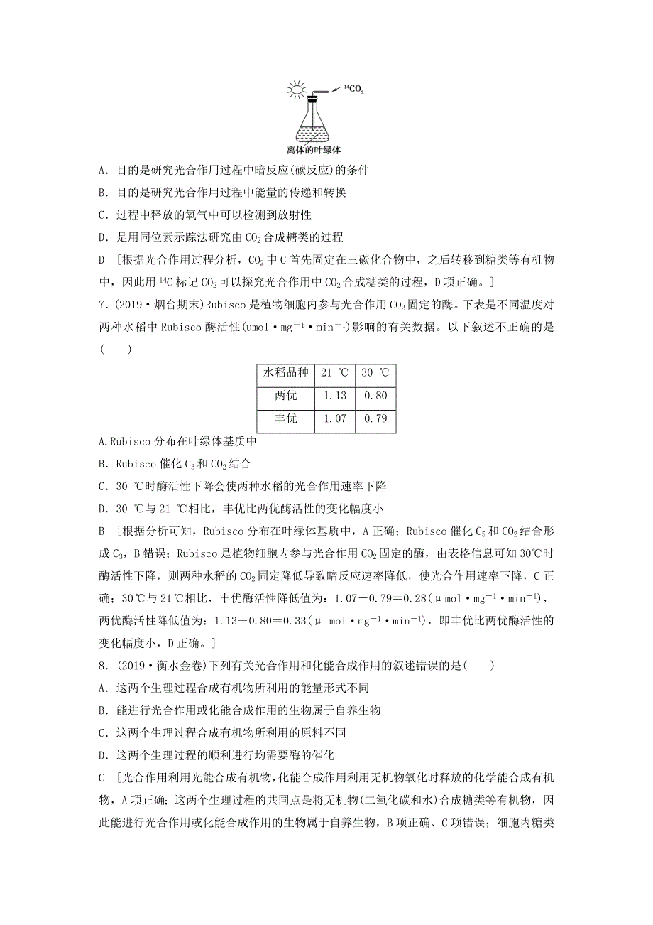 2021届高考生物新人教版一轮复习课后集训：10光合作用（Ⅰ） WORD版含答案.doc_第3页