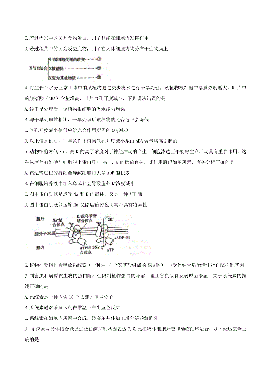 山东省泰安市2019-2020学年高二生物下学期期末考试试题.doc_第2页