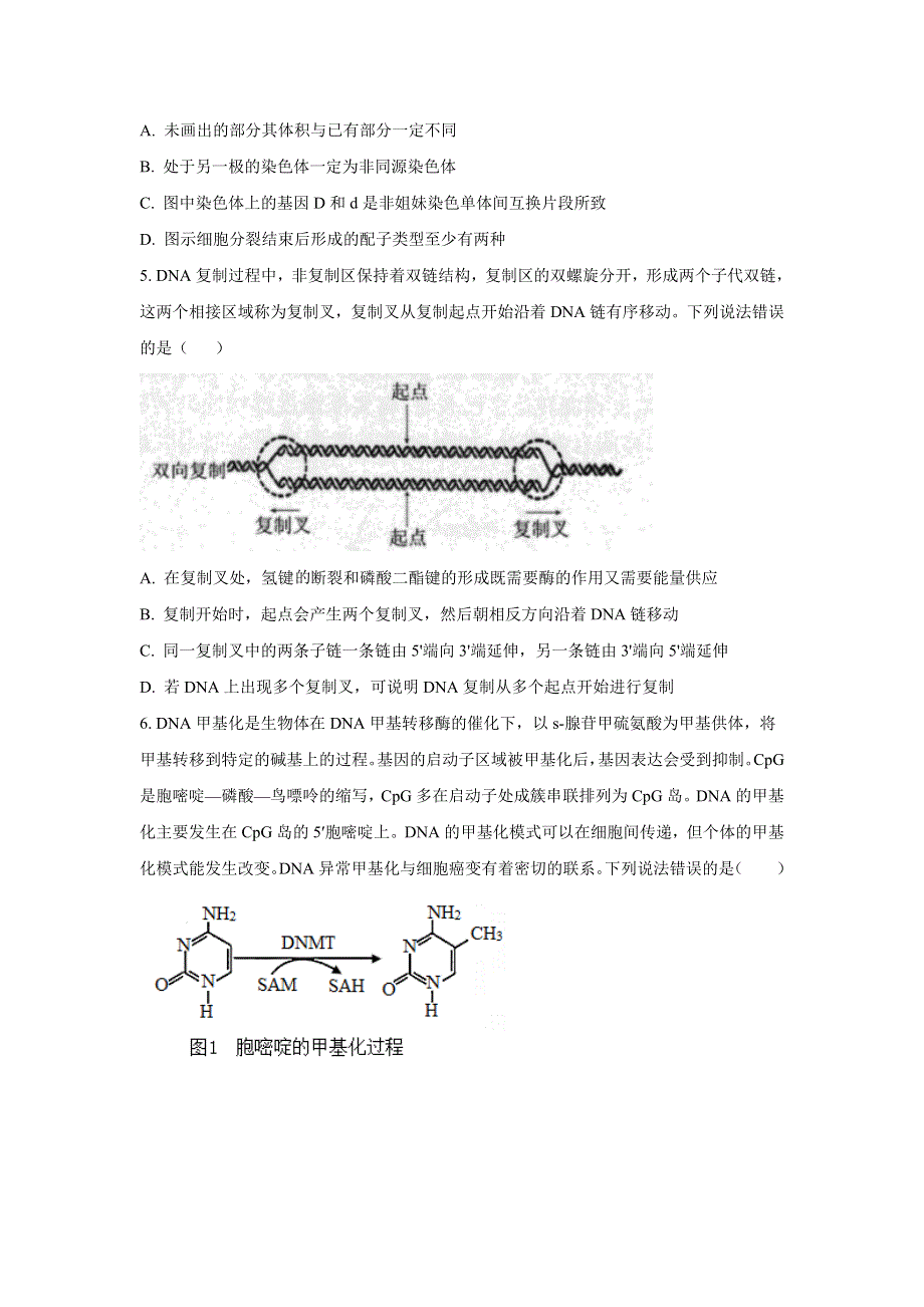 全国普通高等学校2023届招生统一考试模拟（二）生物试卷 含答案.doc_第2页